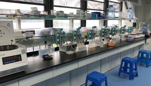 早篩創新與科技融合，天浚元生生物獲國高生物戰投，領跑教育科技軟件研發新賽道